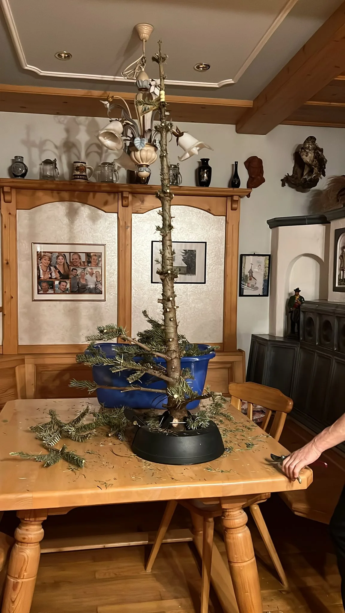 Kleiner Christbaum in einem Wohnraum